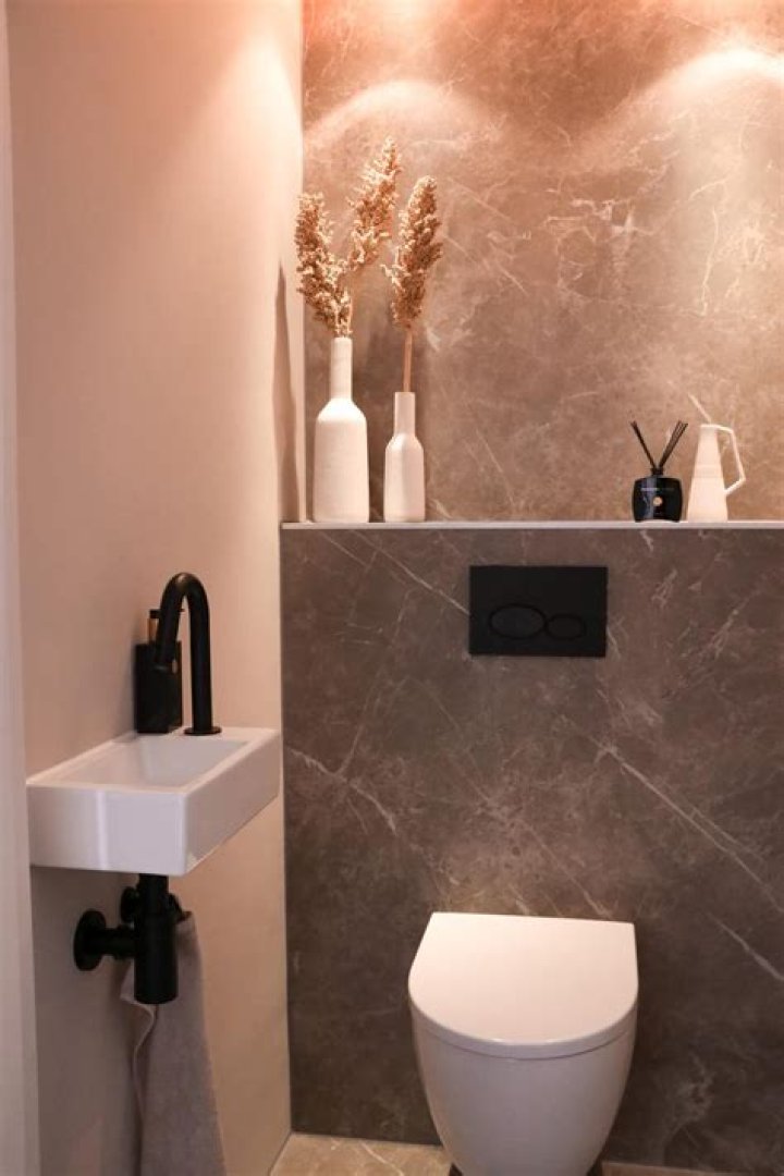 Daniel Mcstay Age, Wikipedia, Instagram, Toilet Video, Net Worth